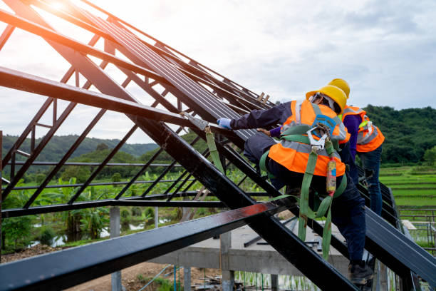 Best Metal Roofing Contractor  in Rose Hill, VA