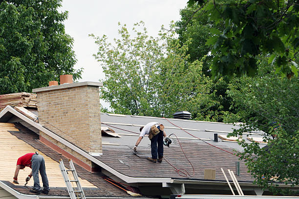 Best Roof Gutter Cleaning  in Rose Hill, VA